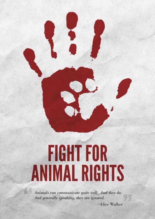 animal-rights-youthreach-malta